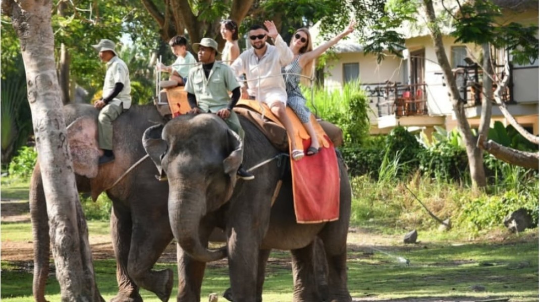 Indonesia Larang Wisata Gajah Tunggang, Dorong Pariwisata Satwa Lebih Etis dan Berkelanjutan