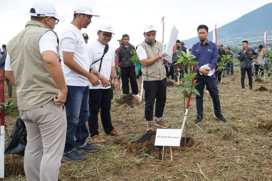 PLN UIP JBTB Dukung Agroforestry, Tanam 617 Pohon Buah di Boyolali untuk Peringati Hari Menanam Pohon Indonesia