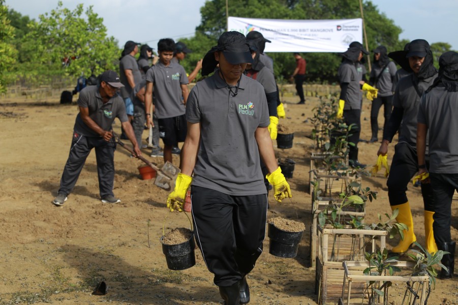 PLN UP2B Jamali Memimpin Gerakan Pelestarian Pesisir Bali Dengan Penanaman Ribuan Bibit Mangrove Di Nusa Pudut Tanjung Benoa Bersama Masyarakat