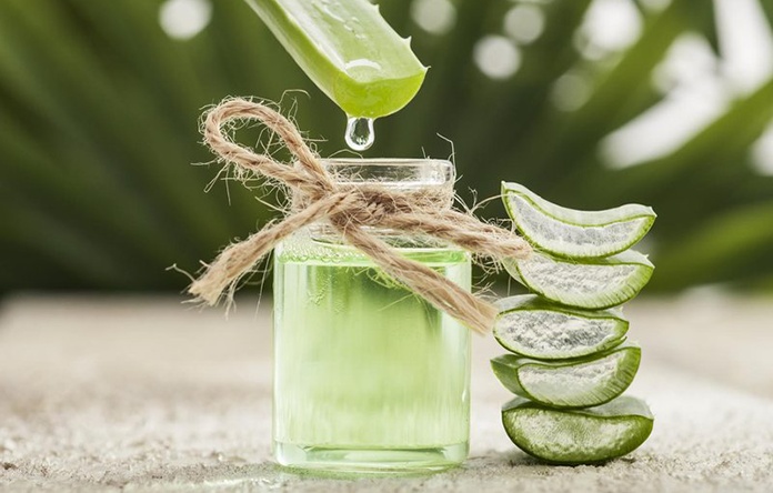 Manfaat Lidah Buaya untuk Kecantikan dan Kesehatan
