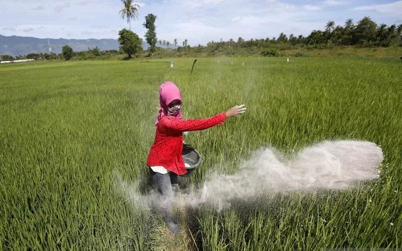 Transformasi Digital Permudah Petani Akses Pupuk Bersubsidi Nasional