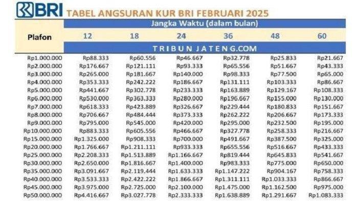 KUR BRI: Akses Mudah untuk Pembiayaan Usaha Mikro