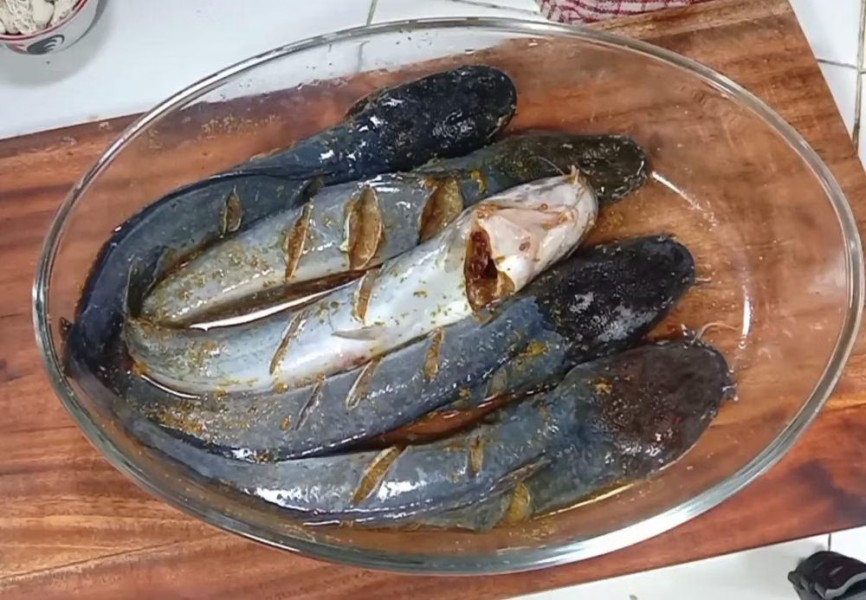 Cara Buat Bumbu Marinasi Lele Goreng Gurih Merempah Agar Lezat Maksimal
