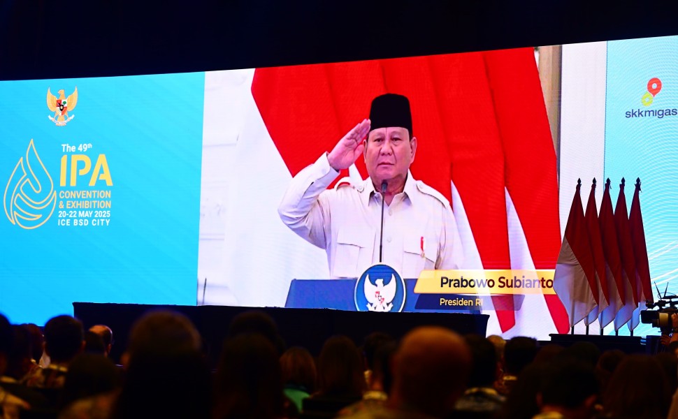 Presiden Prabowo Resmikan 55 Proyek Energi Terbarukan di 15 Provinsi