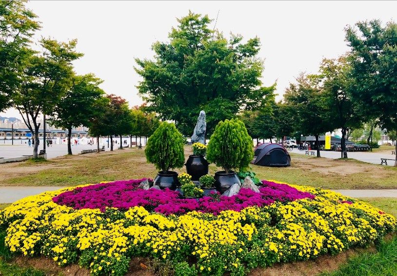Taman Hangang Korea, Pilihan Favorit Piknik dan Santai Warga