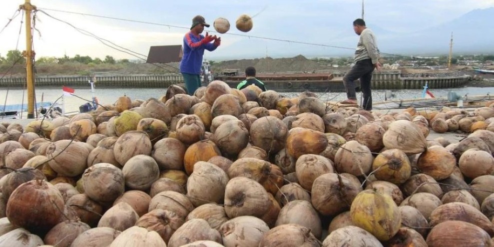 Hilirisasi Pertanian Dorong Nilai Ekonomi Kelapa dan Produktivitas Petani Meningkat