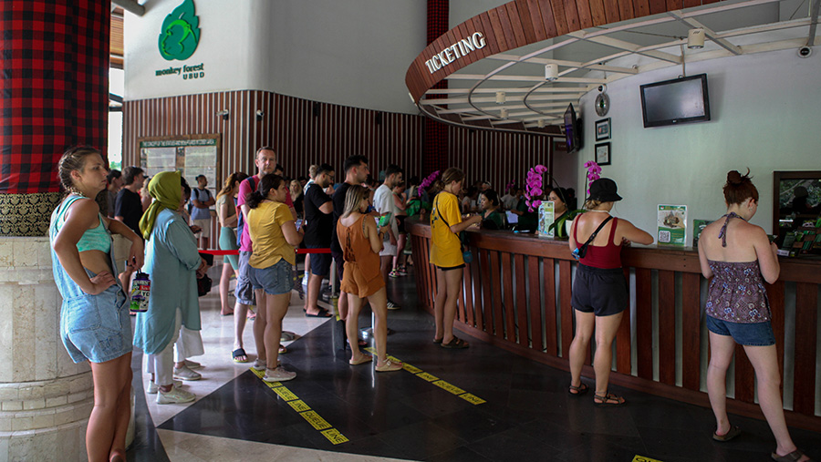 Kunjungan Wisatawan Mancanegara Indonesia Tumbuh Positif 2025