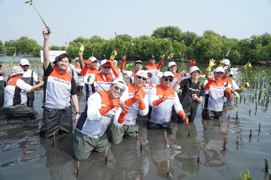 PIS Laksanakan Aksi Kolektif Bersama Komunitas Daerah dalam Upaya Lindungi Laut Indonesia Melalui Mangrove