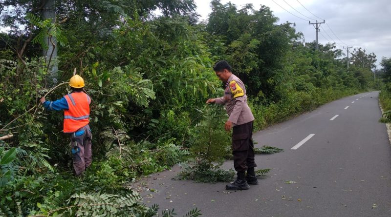Intensifikasi Patroli PLN Rayon Kraksaan untuk Atasi Gangguan Listrik Akibat Pohon Tumbang dan Hewan Liar