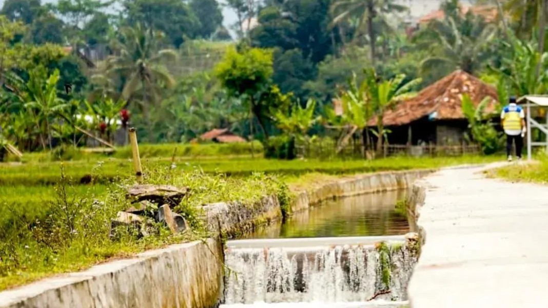 Percepatan Irigasi Pertanian Dorong Ketersediaan Air dan Produktivitas Petani