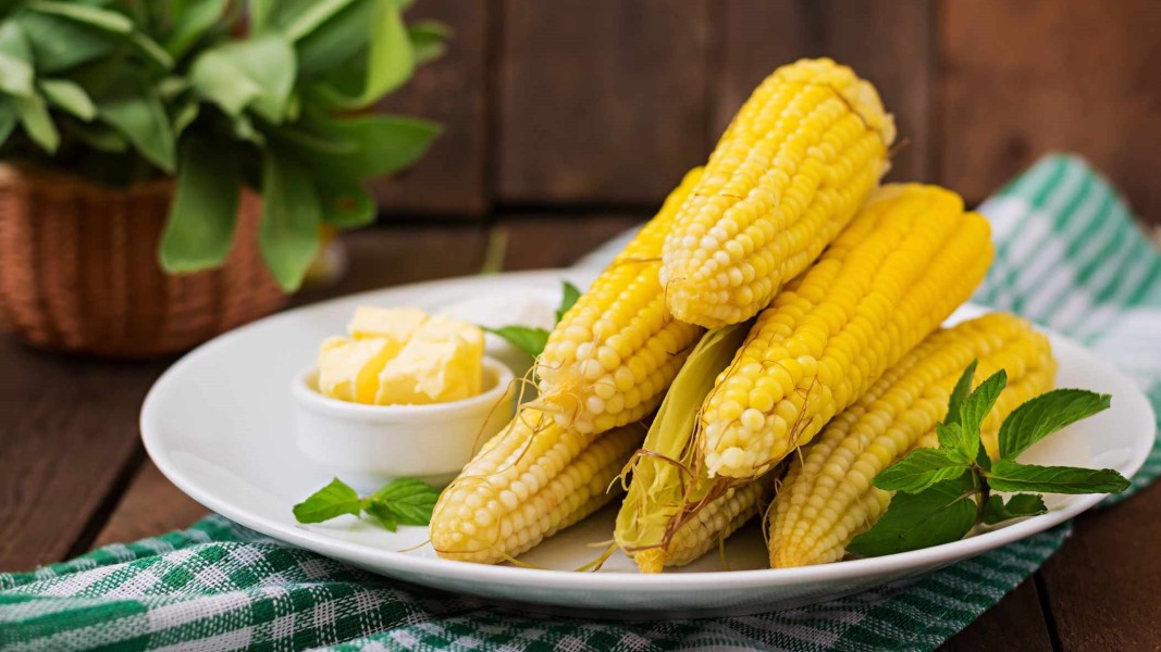 Rahasia Memilih Jagung Manis Segar untuk Hasil Olahan Lebih Nikmat