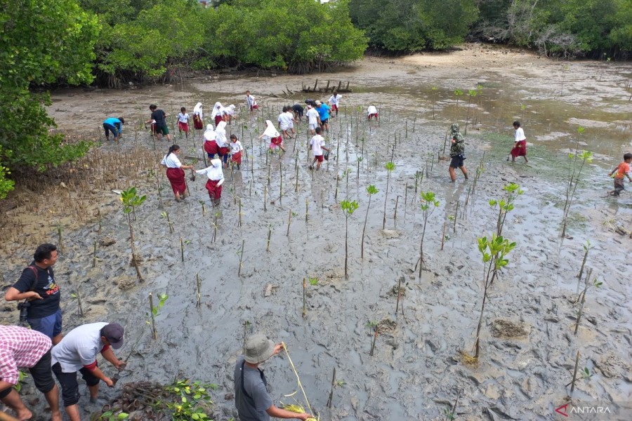 PT PP lakukan Penanaman 1000 Mangrove di Tambakrejo Demi Lindungi Masyarakat dari Abrasi dan Dampak Perubahan Iklim