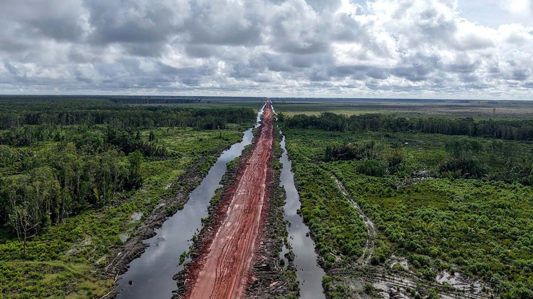 Dukung Program Food Estate, Pemerintah Kebut Pembangunan Jalan Akses di Merauke