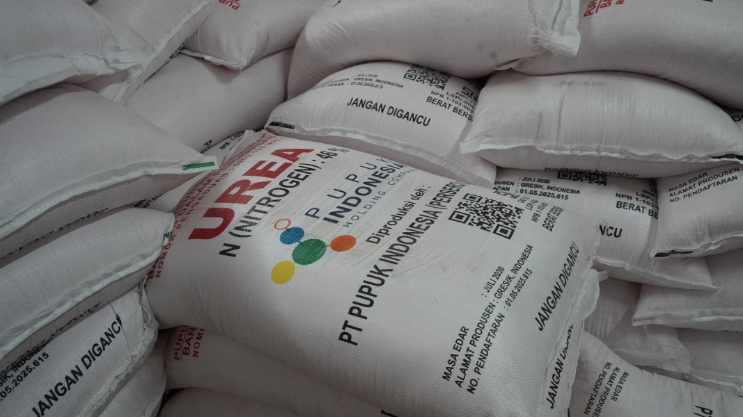 KKP Pastikan Akses Pupuk Bersubsidi Mudah bagi Pembudidaya Ikan