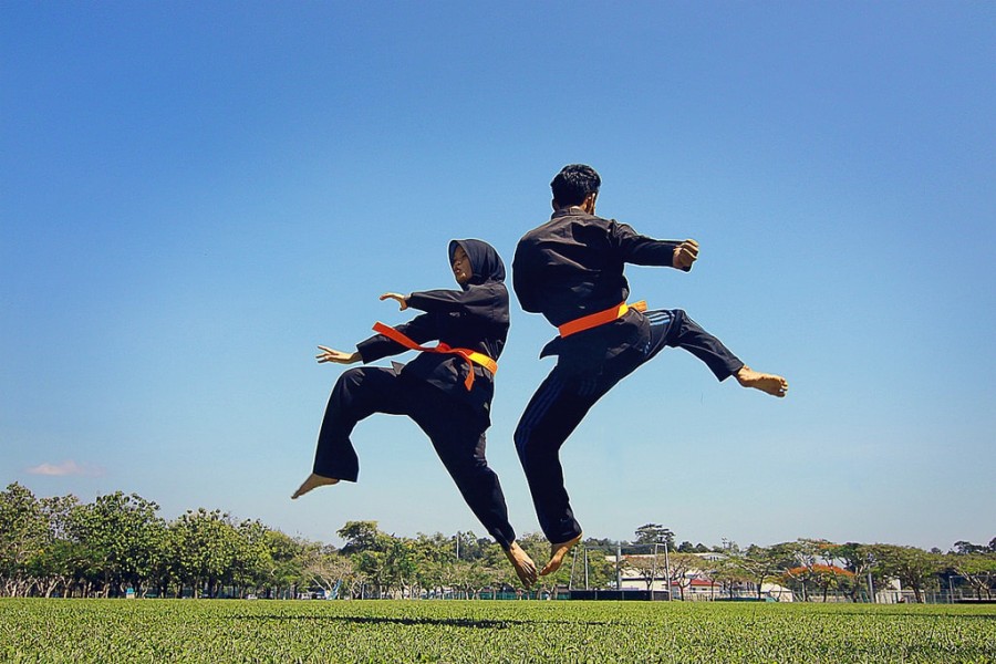 Pencak Silat Indonesia Kian Dekat Masuk Olimpiade, IPSI Perkuat Diplomasi Internasional dan Dorong Dukungan Pemerintah untuk Wujudkan Target 2028
