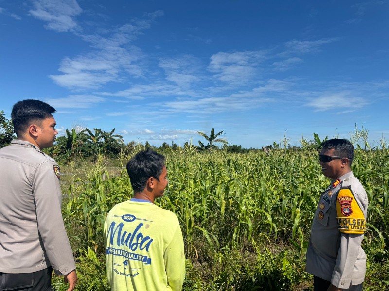 Polres Tarakan Berperan Aktif dalam Mendukung Ketahanan Pangan Lewat Kolaborasi dengan Petani Lokal