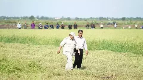 Kebijakan Harga Gabah Prabowo Dongkrak Kesejahteraan dan Ekonomi Desa