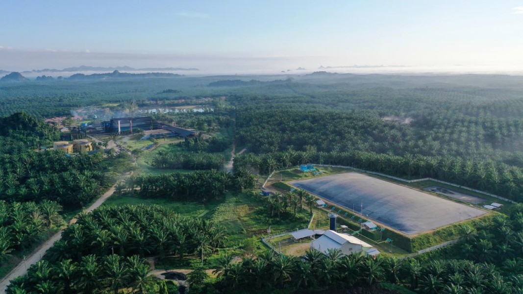 Prospek Cerah Industri Sawit 2026, Eagle High Plantations Targetkan Pertumbuhan Double Digit