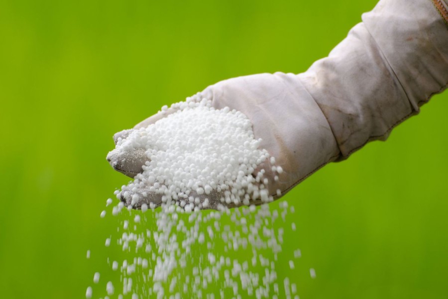 Pupuk Urea adalah: Jenis, Manfaat, dan Cara Menggunakan
