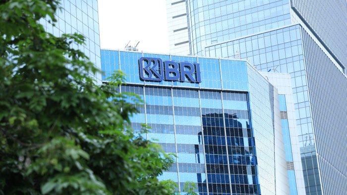 KUR BRI 2025: Modal Usaha Mudah dan Cicilan Ringan