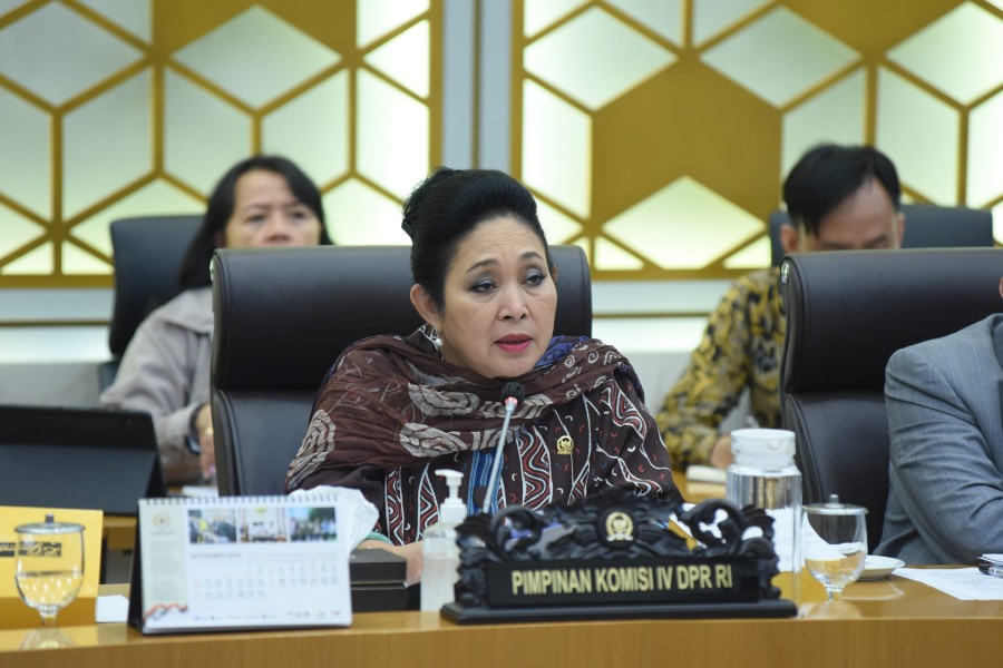 Strategi DPR untuk Perampingan BUMN bisa Hemat Rp50 Triliun Tanpa PHK