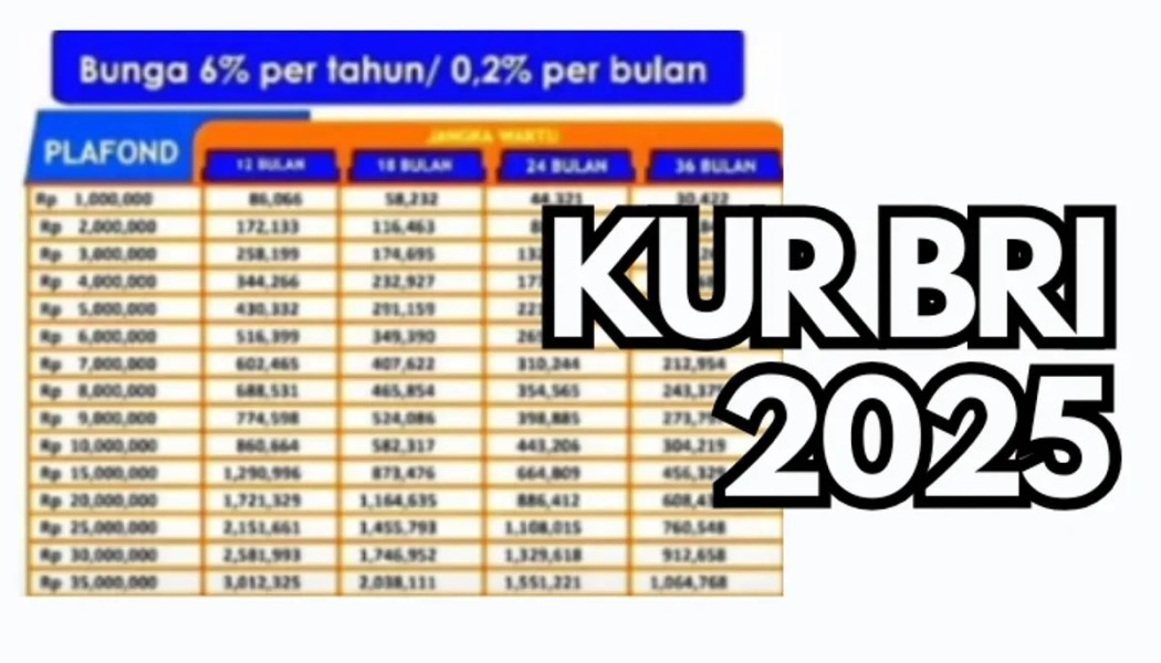 KUR BRI 2025 Buka Peluang Luas bagi UMKM