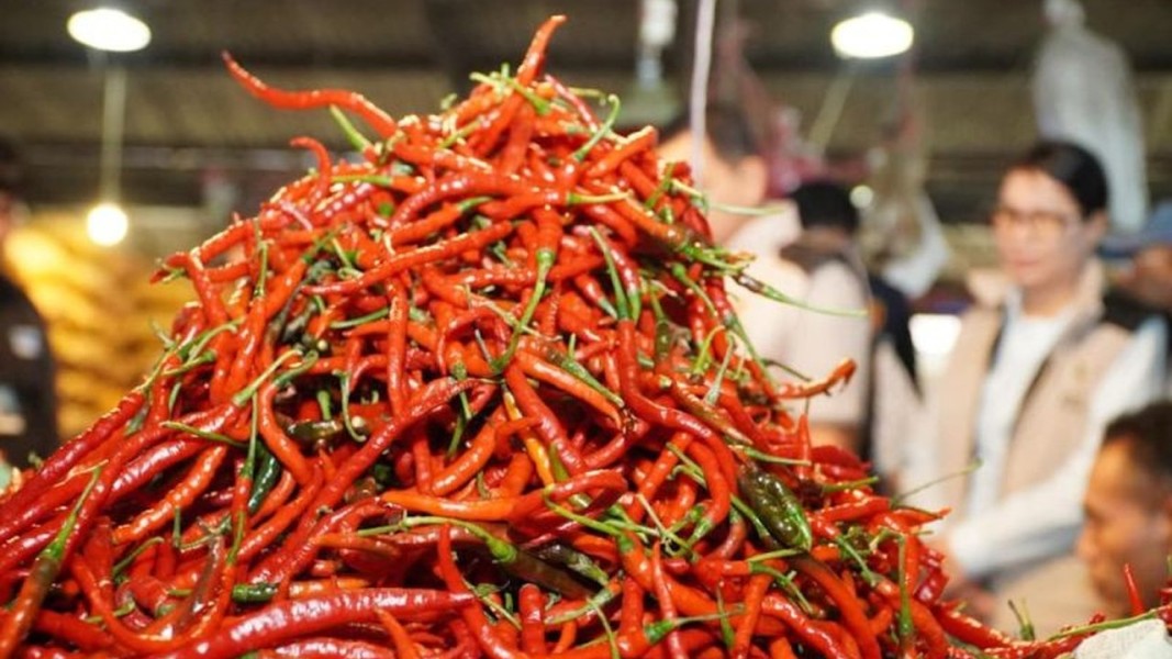 Harga Cabai Rawit Turun Usai Lebaran, Stok Melimpah Aman