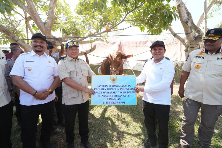 Mendagri Sebut Presiden Prabowo Salurkan Bantuan Sapi Miliaran Rupiah Ke Aceh
