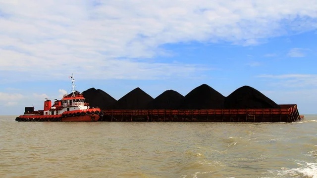 Impor Batu Bara RI ke China Merosot Tajam di Juni 2025