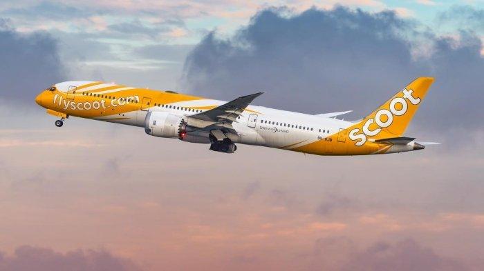 Scoot Perluas Jaringan Penerbangan Baru di Asia Tenggara 2025