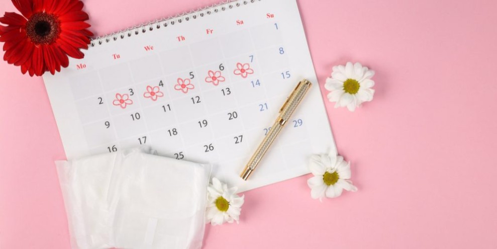 Rahasia Kesehatan Reproduksi: Kenali Hormon yang Mengatur Siklus Menstruasi Perempuan