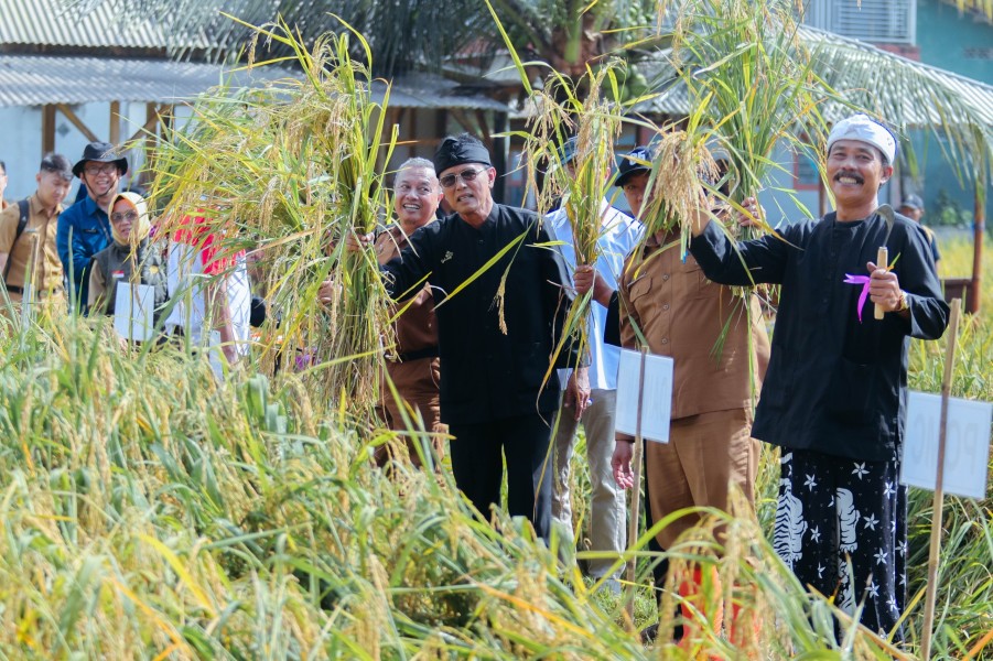 Visi Ciamis 2026: Menuju Kabupaten Organik untuk Sejahterakan Petani Lokal