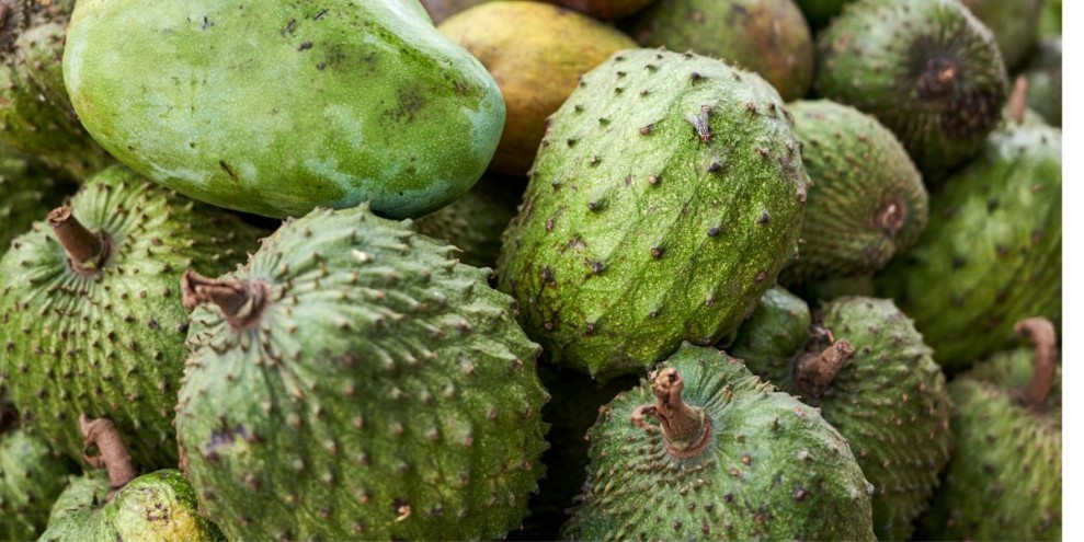 Buah Sirsak untuk Obat Apa? Inilah Kandungan dan Manfaatnya