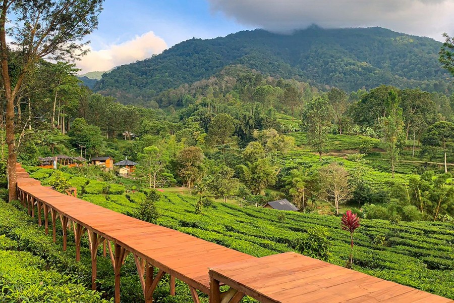 Wisata Bogor Penuh Cita Rasa dan Udara Segar
