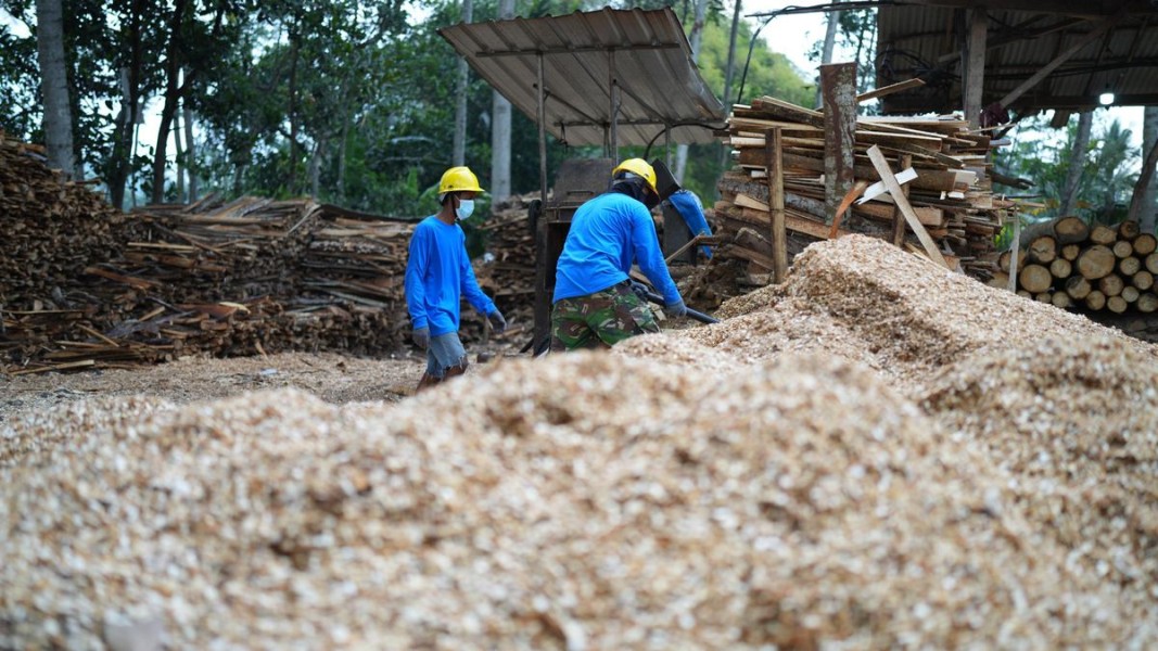 Indonesia Transformasi Lahan Tandus Menjadi Lumbung Energi: Langkah Menuju Ketahanan Pangan dan Energi