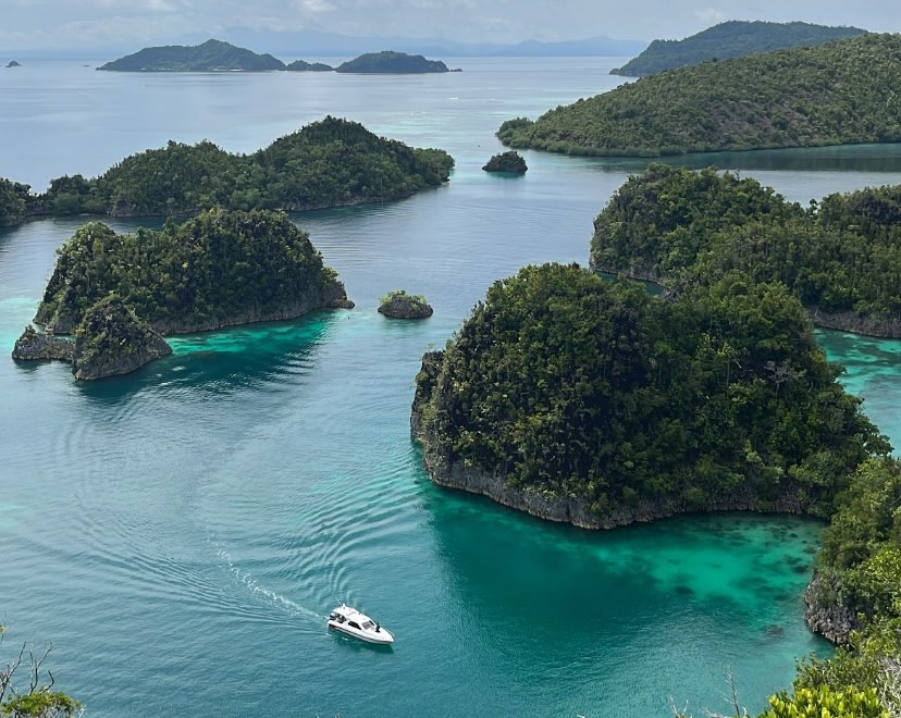 Mentri Bahllil Tidak Bisa Diandalkan, ART Minta Kejagung Proses Hukum Perusahaan Tambang Raja Ampat