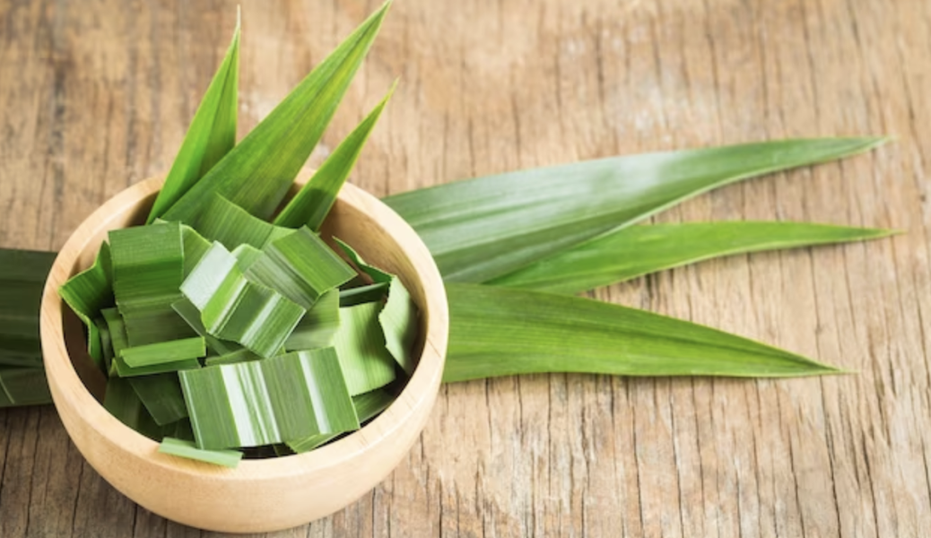 3 Khasiat Daun Pandan Alami untuk Turunkan Gula Darah dan Racun