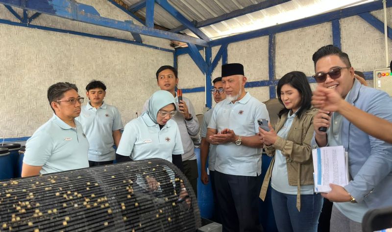 Kopi Kamojang Mendunia Berkat Inovasi Energi Panas Bumi Kopi Kamojang Mendunia Berkat Inovasi Energi Panas Bumi