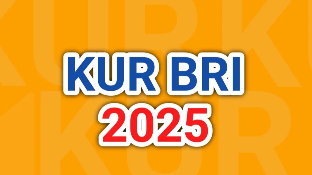 Pinjaman KUR BRI, Bantu UMKM Berkembang Cepat