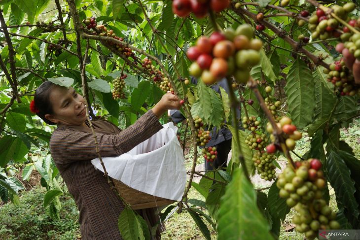 Petani Kopi Wonosalam Gelar Bancakan