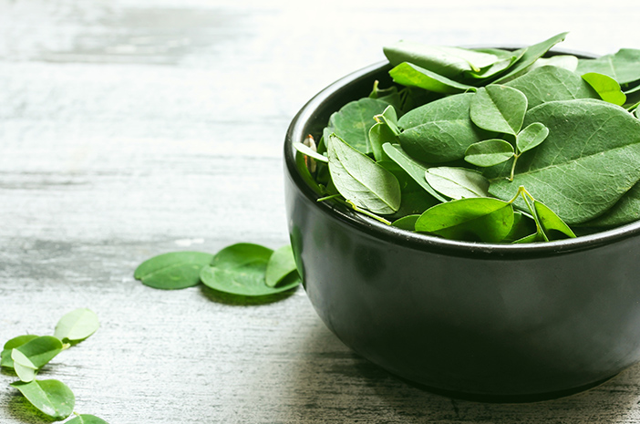 Daun Kelor Makin Populer sebagai Superfood: Inovasi Olahan Kekinian dan Manfaat Kesehatannya