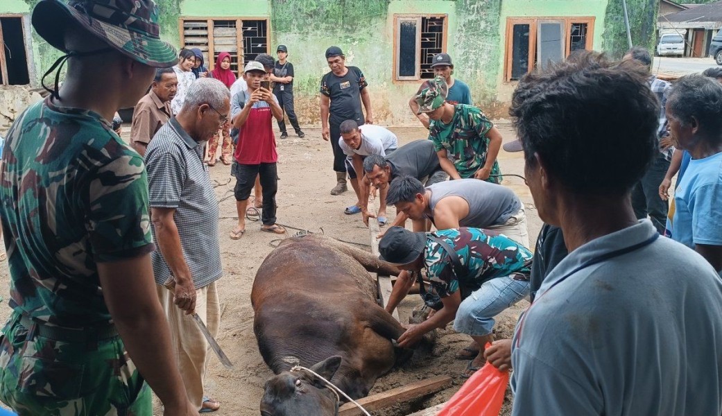 Sambut Ramadhan 2026, Korban Banjir Tapanuli Selatan Gelar Potong Sapi dan Berbagi untuk Semua