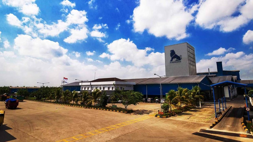 Kinerja CPIN Membaik, Didukung Kenaikan Harga Ayam dan Perbaikan Margin