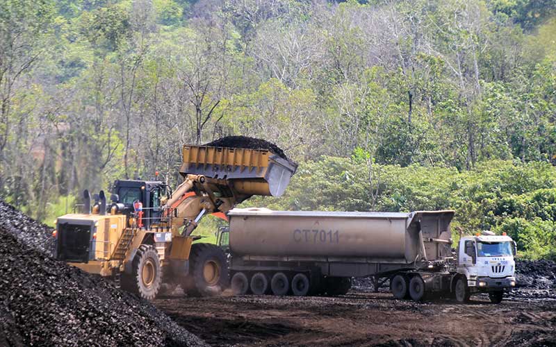 Harga Batu Bara Naik Turun