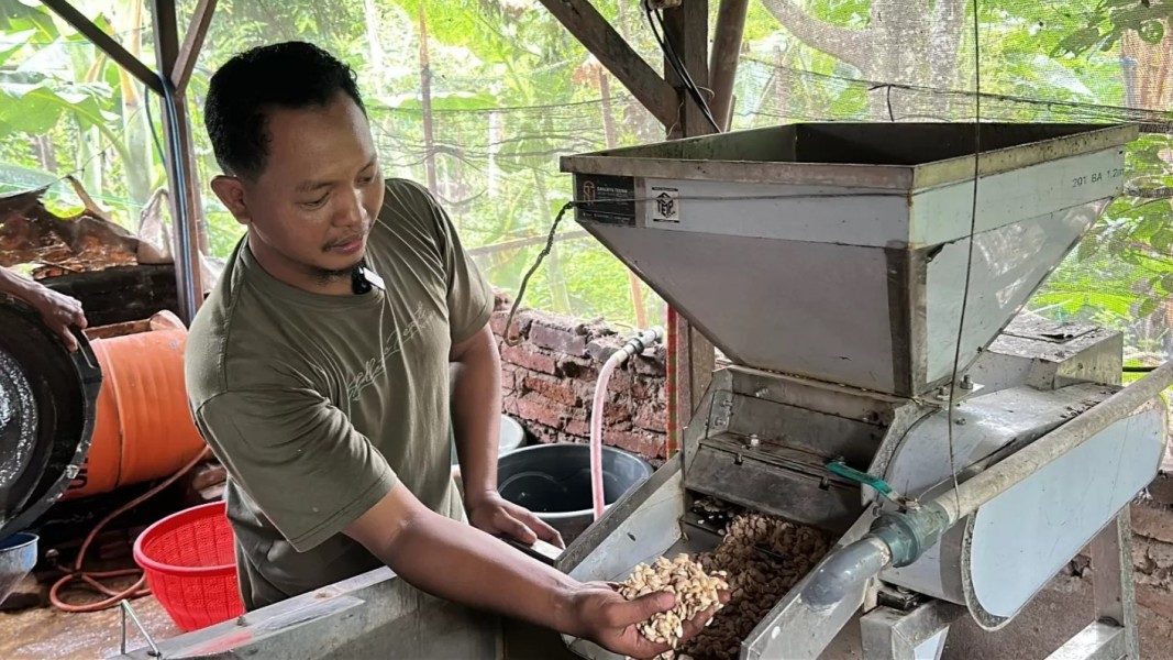 Berkat MBG Pemasok Tempe Bisa Buka Lapangan Kerja Desa