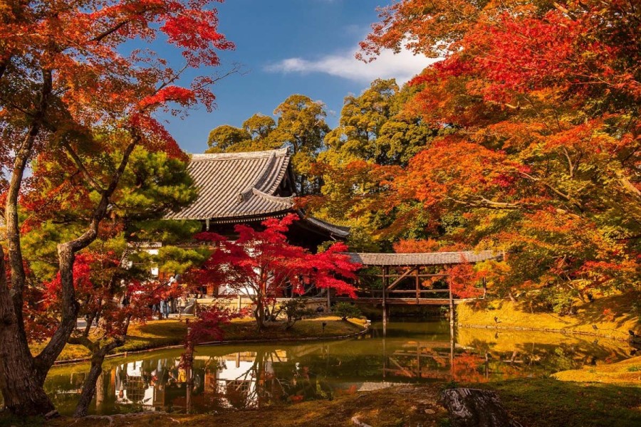 10 Destinasi Wisata Musim Gugur Terbaik di Asia untuk Liburan Seru
