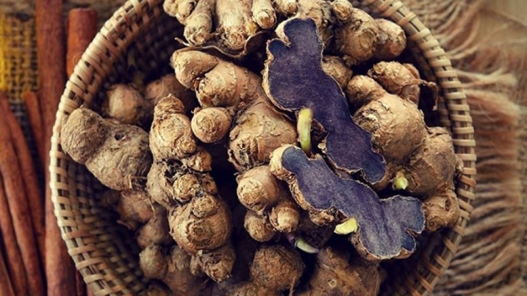 Rahasia Kunyit Hitam: Rempah Langka dengan Segudang Khasiat untuk Tubuh dan Otak