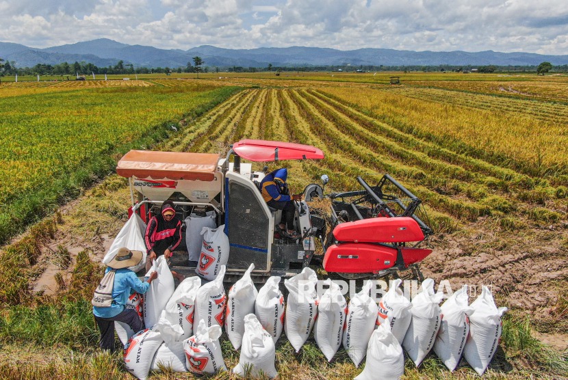 Bulog Sulteng Rangkul Penyuluh Pertanian Guna Optimalkan Penyerapan Beras Petani Lokal
