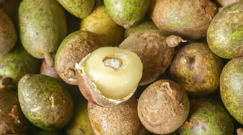 Mengenal Manfaat Buah Matoa untuk Kesehatan dan Kecantikan