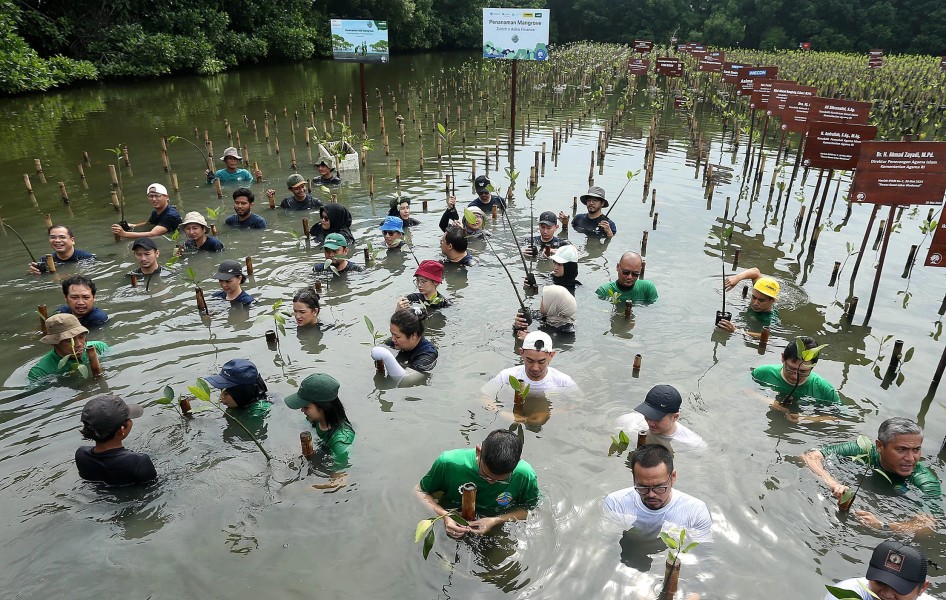 Zurich Dorong Konservasi Lingkungan Lewat Penanaman Mangrove